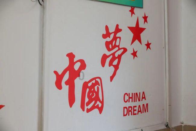 救援大嘴鸟